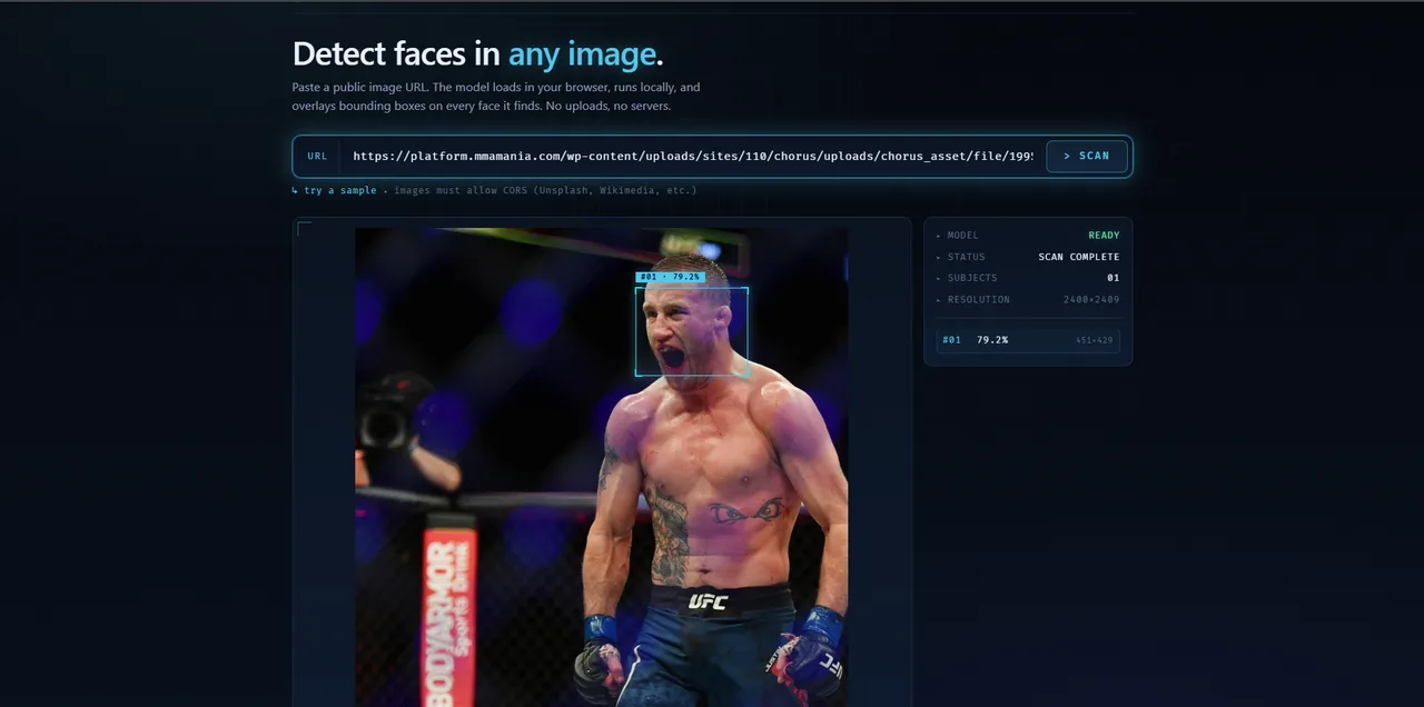 Face Detector scanning an image — detected face highlighted with a bounding box